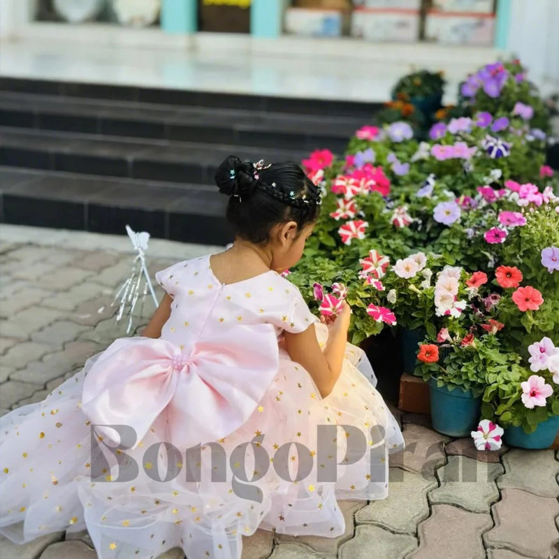 Elegant Baby Pink Fit & Flare Kids Dress