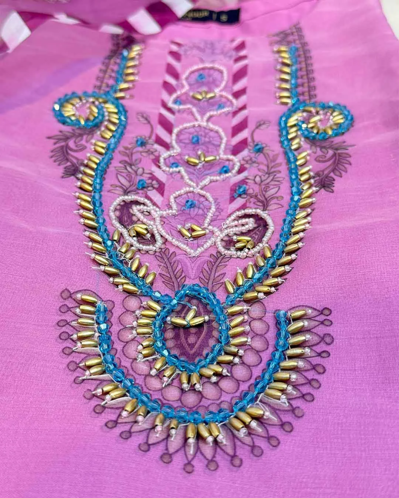 Eshani - Organza Karchupi Suit Set