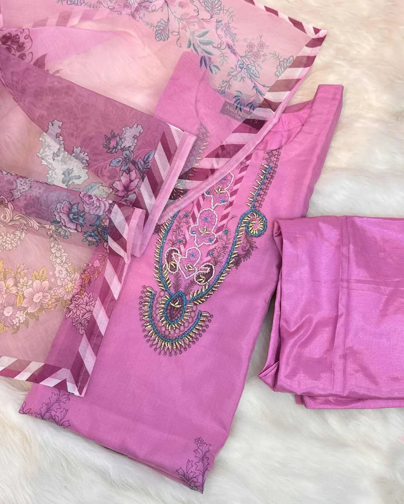 Eshani - Organza Karchupi Suit Set