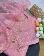 Zaria - Organza Embroidered Suit Set