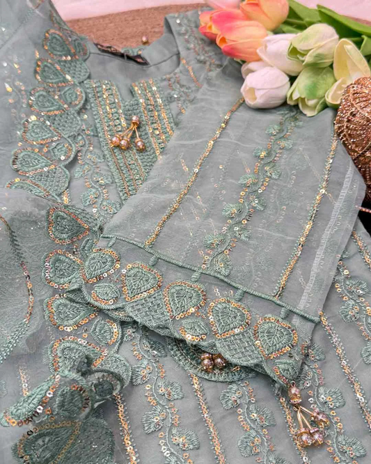 Ishani - Organza Embroidered Suit Set